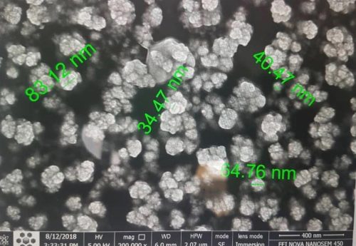 Nano Particle